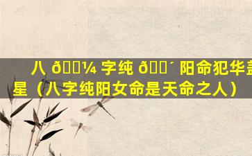 八 🐼 字纯 🐴 阳命犯华盖星（八字纯阳女命是天命之人）